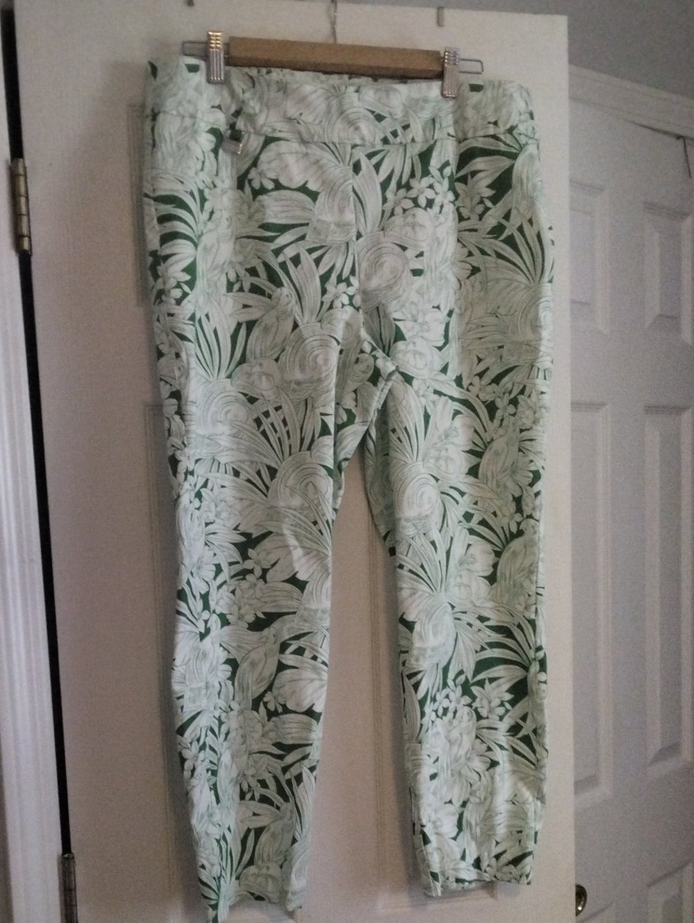 Premise Green and White Floral Ponte Ankle Pants